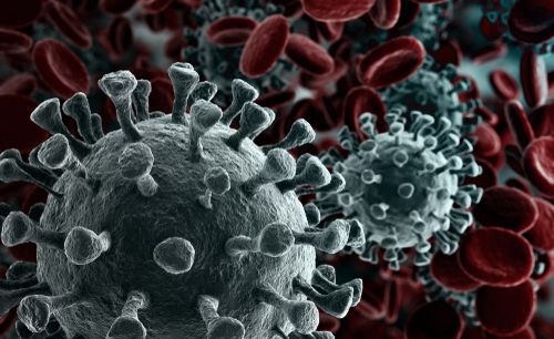 Close-up of coronavirus particles among red blood cells.