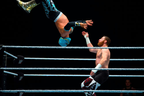 shutterstock_767239768.jpg Two wrestlers mid-match, one performing an aerial move.