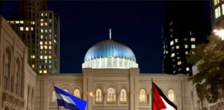Crowd of individuals holding flags during a nighttime protest