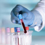 Pentagon Research Halted Over Aborted Tissue Gloved hand holding a test tube with blood.