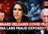 COVID Origins Bombshell: Tulsi Gabbard Claims Biden Aide Fauci 'Funded' Wuhan Lab Research In China