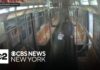 Subway Horror: Teen Torches Sleeping Rider Man sentenced after allegedly setting NYC subway rider on fire
