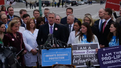 shutterstock1360165991jpg A large group gathered at a pro-life rally.
