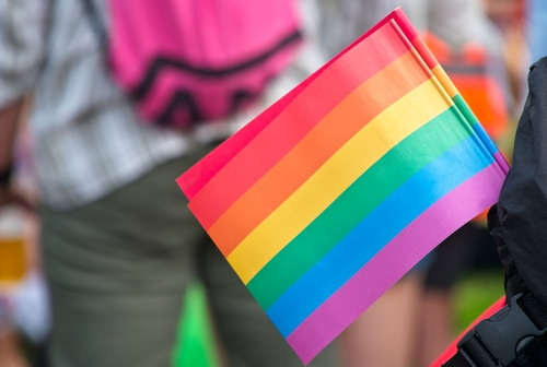 Budapest,,Hungary,-,June,22,,2024:,People,Celebrate,The,29th Close-up of a rainbow pride flag held by a person