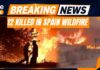 Hellfire Traps Tourists In Spain Spain Wildfire: 12 Dead In Los Gallardos Forest Fire As Heatwave Fuels Inferno | News9