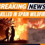 Hellfire Traps Tourists In Spain Spain Wildfire: 12 Dead In Los Gallardos Forest Fire As Heatwave Fuels Inferno | News9