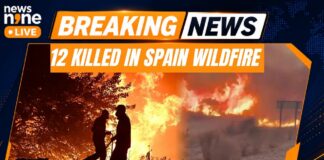 Spain Wildfire: 12 Dead In Los Gallardos Forest Fire As Heatwave Fuels Inferno | News9