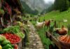Life in a Traditional Swiss Farm - Morning Milking, Harvesting Fruits, Vegetables, Livestock Routine