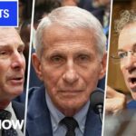 COVID: Whistleblower Plea Exposes Vanishing Records WATCH: HEATED Moments from Dr. Fauci Senate hearing | MS NOW Highlights