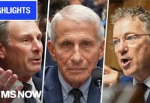 WATCH: HEATED Moments from Dr. Fauci Senate hearing | MS NOW Highlights
