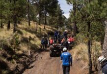 USDA Policy Fight Delayed $15M in Fire Prevention rescue team with ATVs on a forest trail
