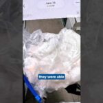 Feds Say Pizza Masked Meth Empire Would you like meth with your pizza? They got it in Dinuba