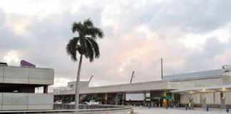 Airport terminal exterior with palm tree at dusk