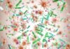 COVID: Whistleblower Plea Exposes Vanishing Records Colorful microscopic bacteria and viruses floating in space