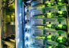 Texas Data Center Boom Just Hit a MAJOR Roadblock Server rack with network cables and glowing indicator lights