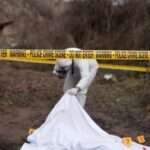 Tree Hanging Homicide Case Isn’t What It Seems forensic investigator at outdoor crime scene behind caution tape