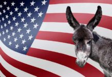 Why Democrats Are TURNING on Their Own Candidates Donkey in front of an American flag