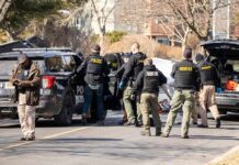 Horrific Vehicular Attack on Politician Police and sheriff officers gather around vehicles on a suburban street