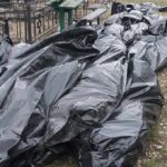 Black plastic bags piled outdoors near metal fencing